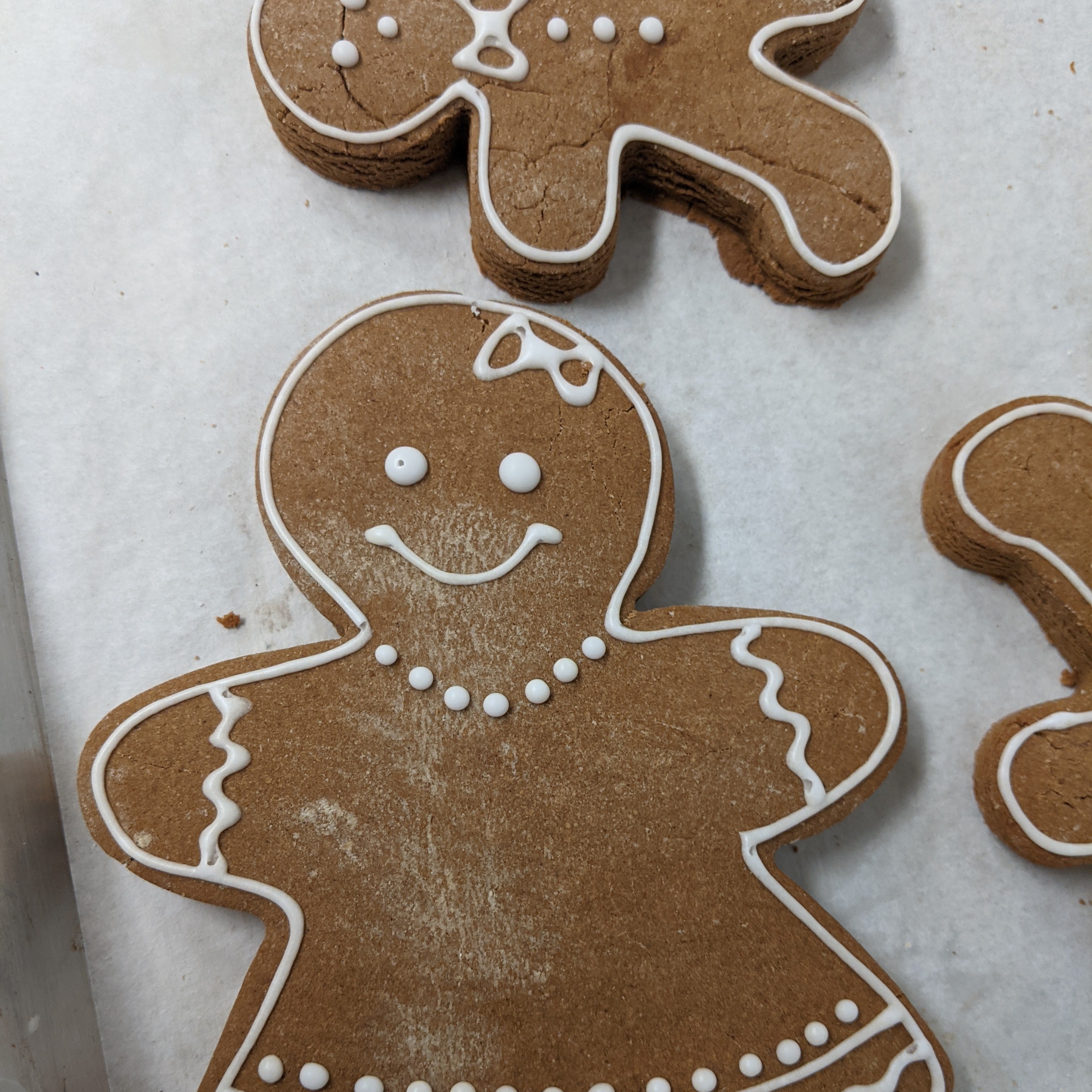 http://www.mopweezebakery.com/cdn/shop/products/cookies_gingerbread_4.jpg?v=1641925613&width=5760