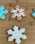 Winter Cookies (6)