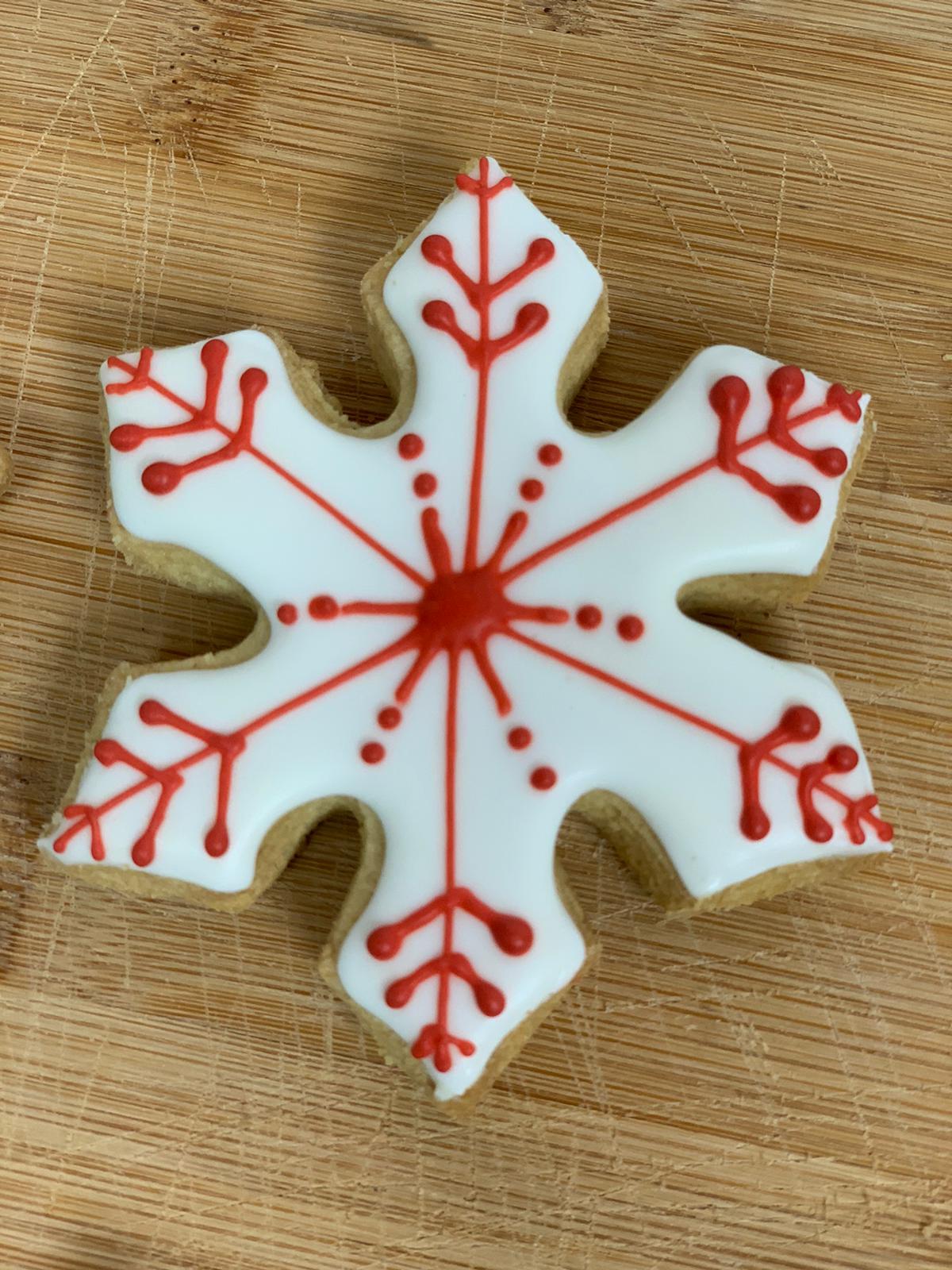 Winter Cookies (6)