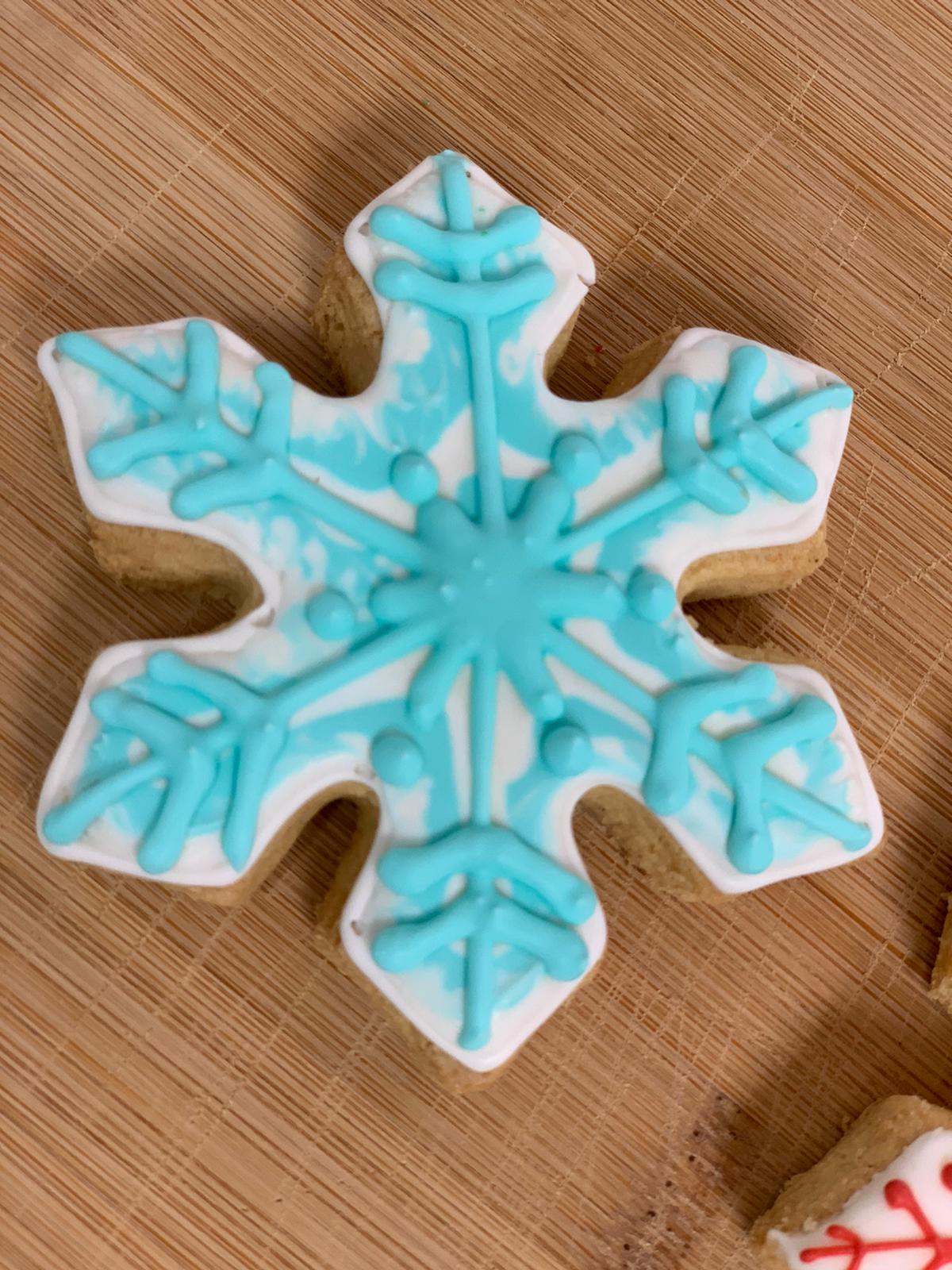 Winter Cookies (6)